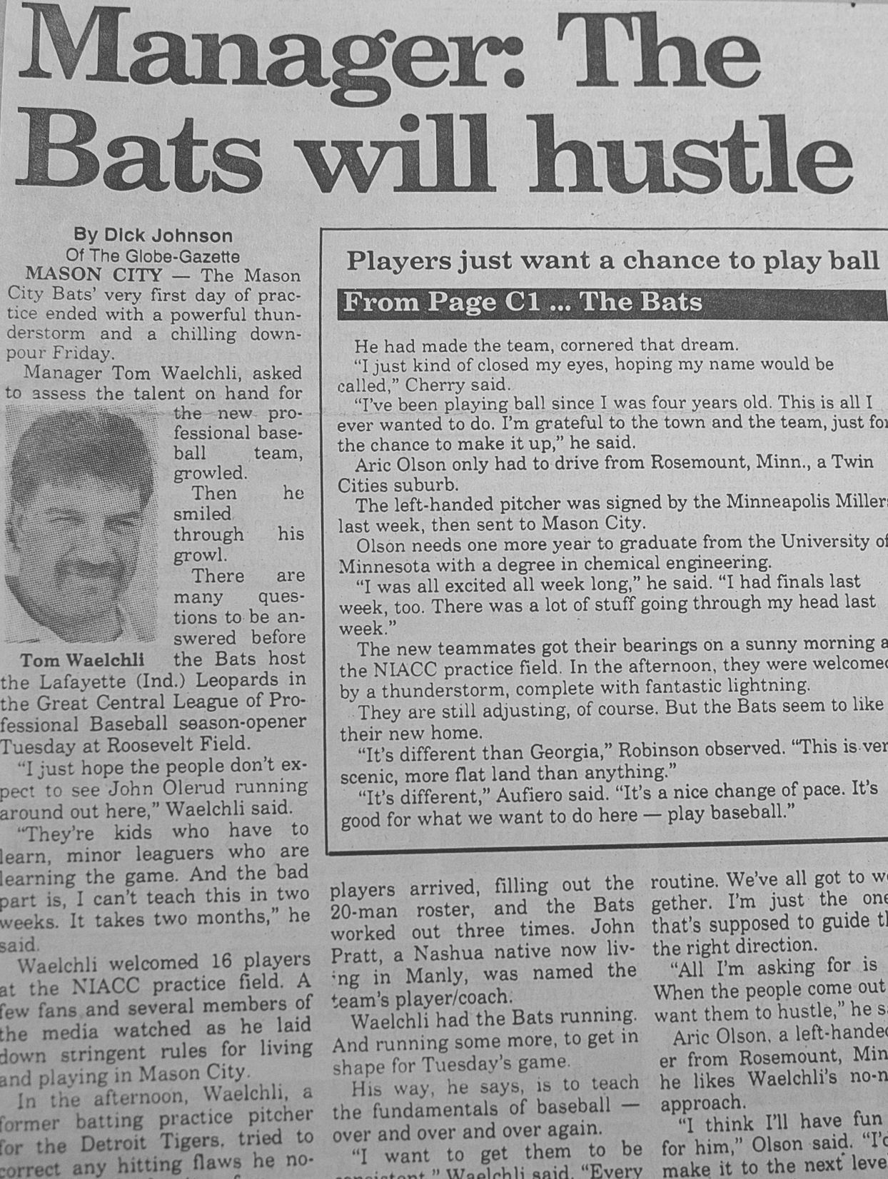 Bats Clips 7